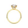Picture of 4.00 Ct Cushion Cut Lab Grown Diamond Solitaire Ring in Solid Gold For Women