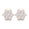 Picture of 0.25 Ct Round Brilliant Cut Lab-Grown Diamond Prong Set Push Back Stud Earring in Solid Gold For Women