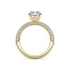Picture of 4.70 Ct Emerald Cut & Round Brilliant Cut Lab-Grown Diamond Engagement Ring in Solid Gold For Women